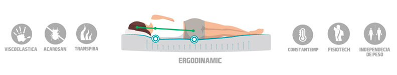 Características Ergo dinamic